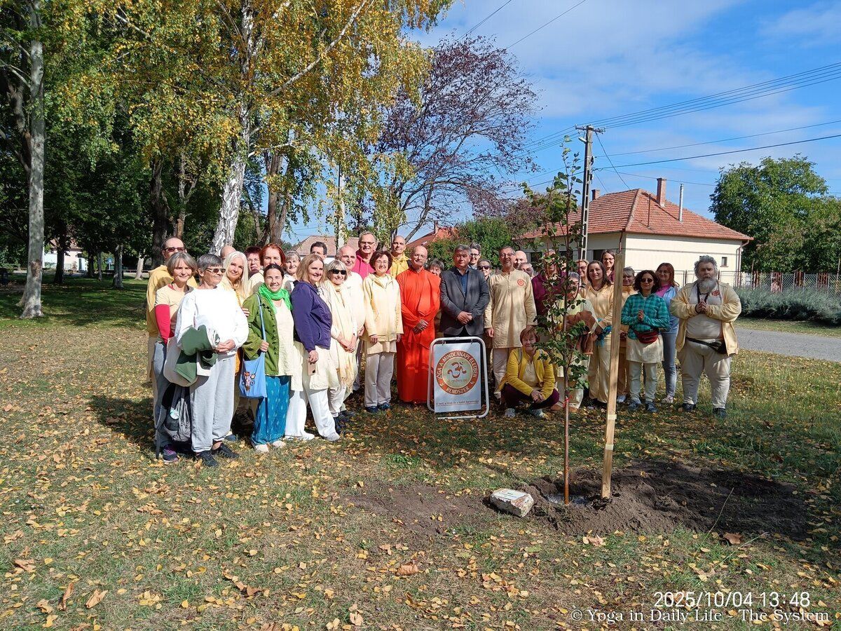 ﻿Consciousness and Self-Knowledge through Yoga