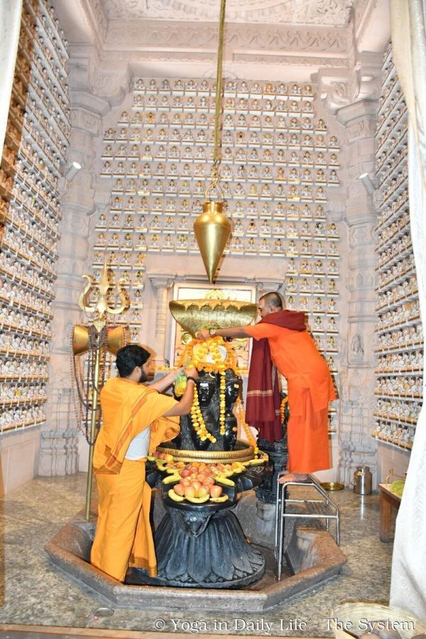 10.6 om ashram shiva wm